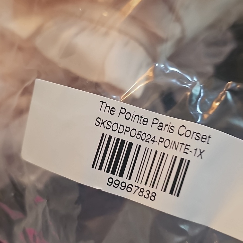 En Pointe Silk Paris Corset 1x - Picture 2 of 6